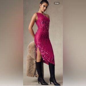 NWT Anthropologie size MP pink midi dress